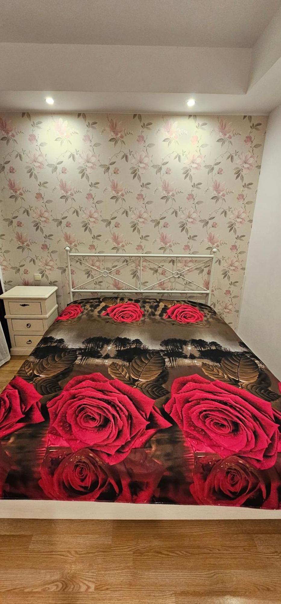 Homey 2 Cosmopolis Stefanestii de Jos المظهر الخارجي الصورة